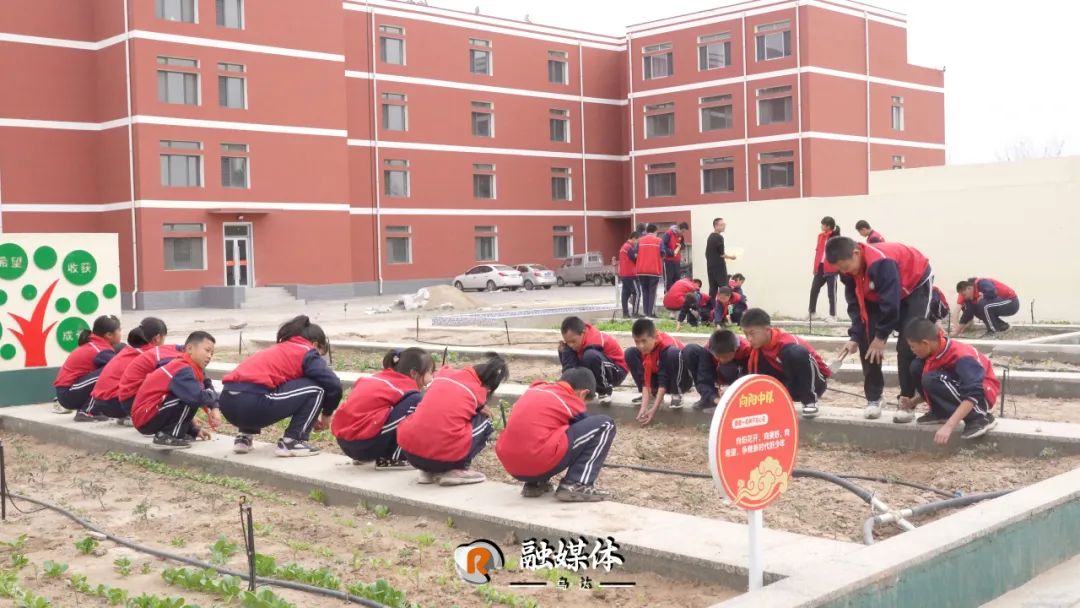 乌海市第十三中学